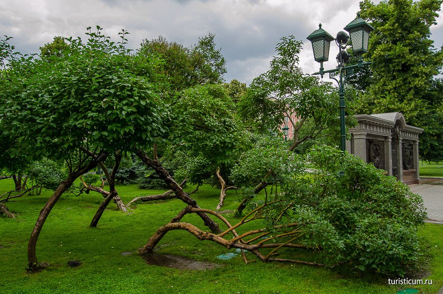 Александровский сад, Москва