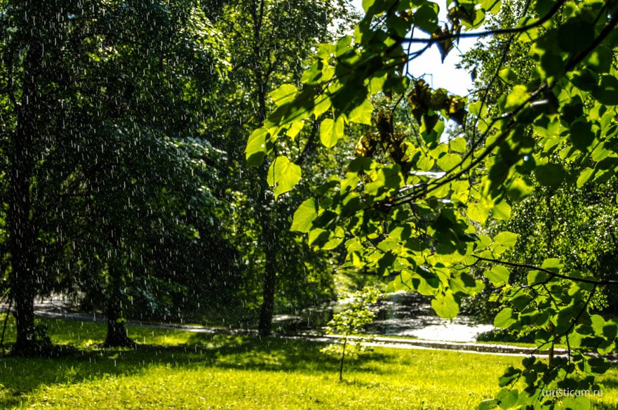Гатчинский парк