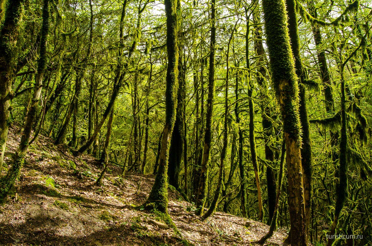 Экскурсия на 33 водопада, Сочи